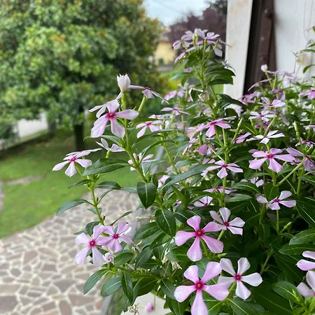 Residenza 38 * Pieve di Soligo