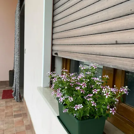 Holiday home Residenza 38
